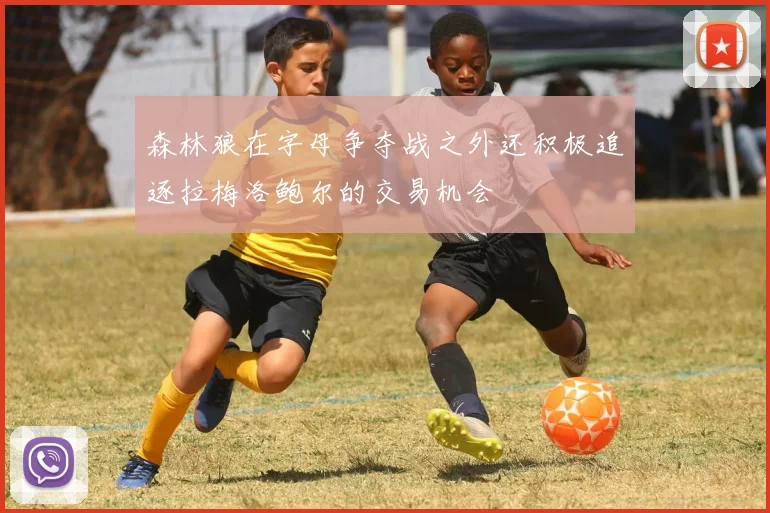 森林狼在字母争夺战之外还积极追逐拉梅洛鲍尔的交易机会