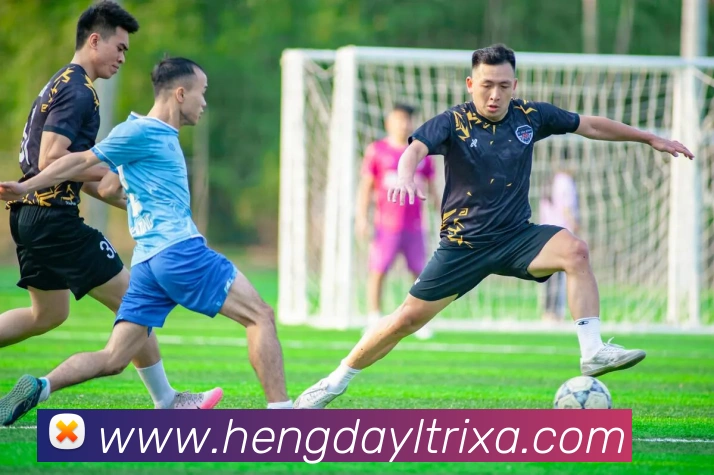 恒达娱乐平台生态图